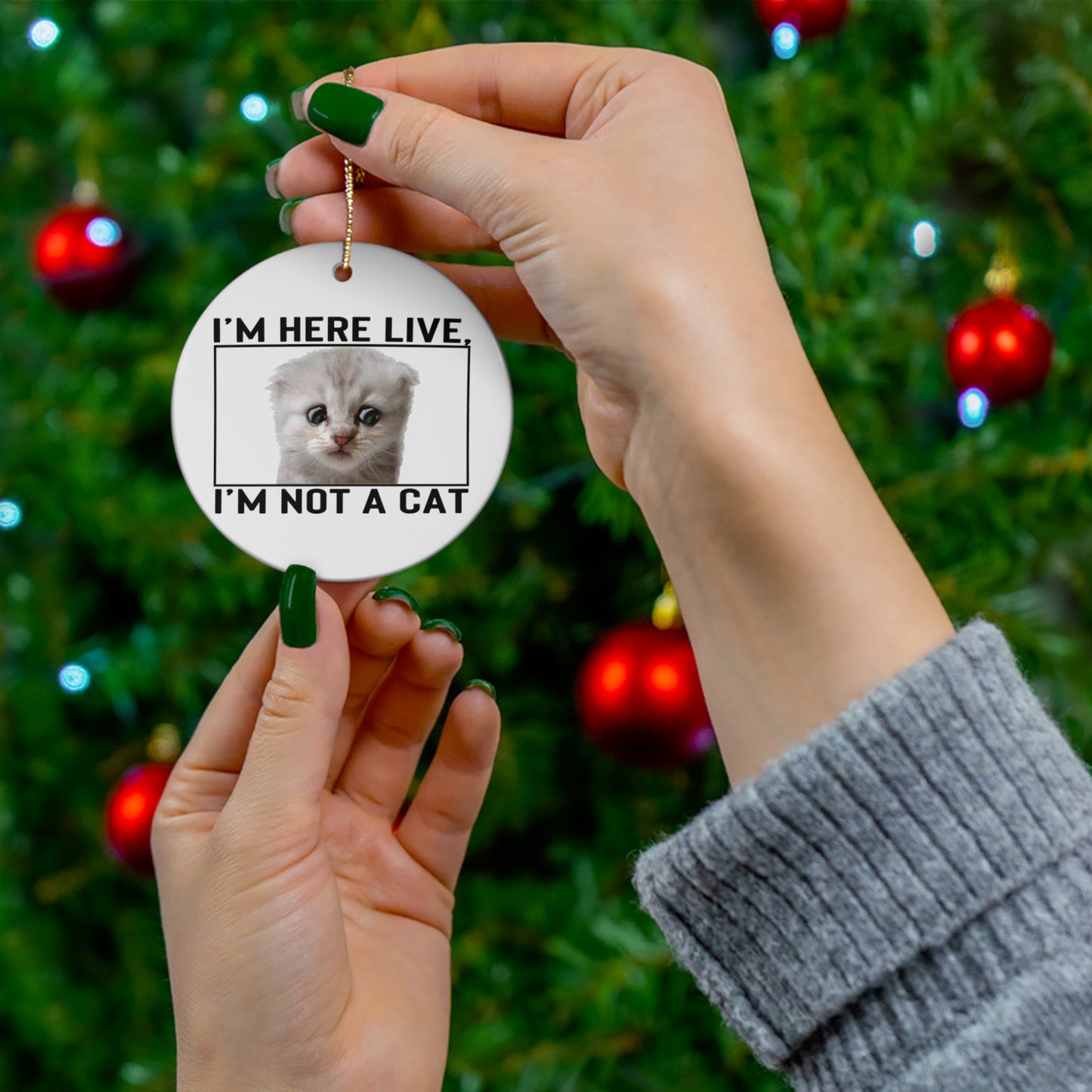 Zoom Lawyer Cat Ornament 2021 Zoom Cat Meme - Funny Lawyer Zoom Judge Call as Cat - I'm not a cat Ornament
