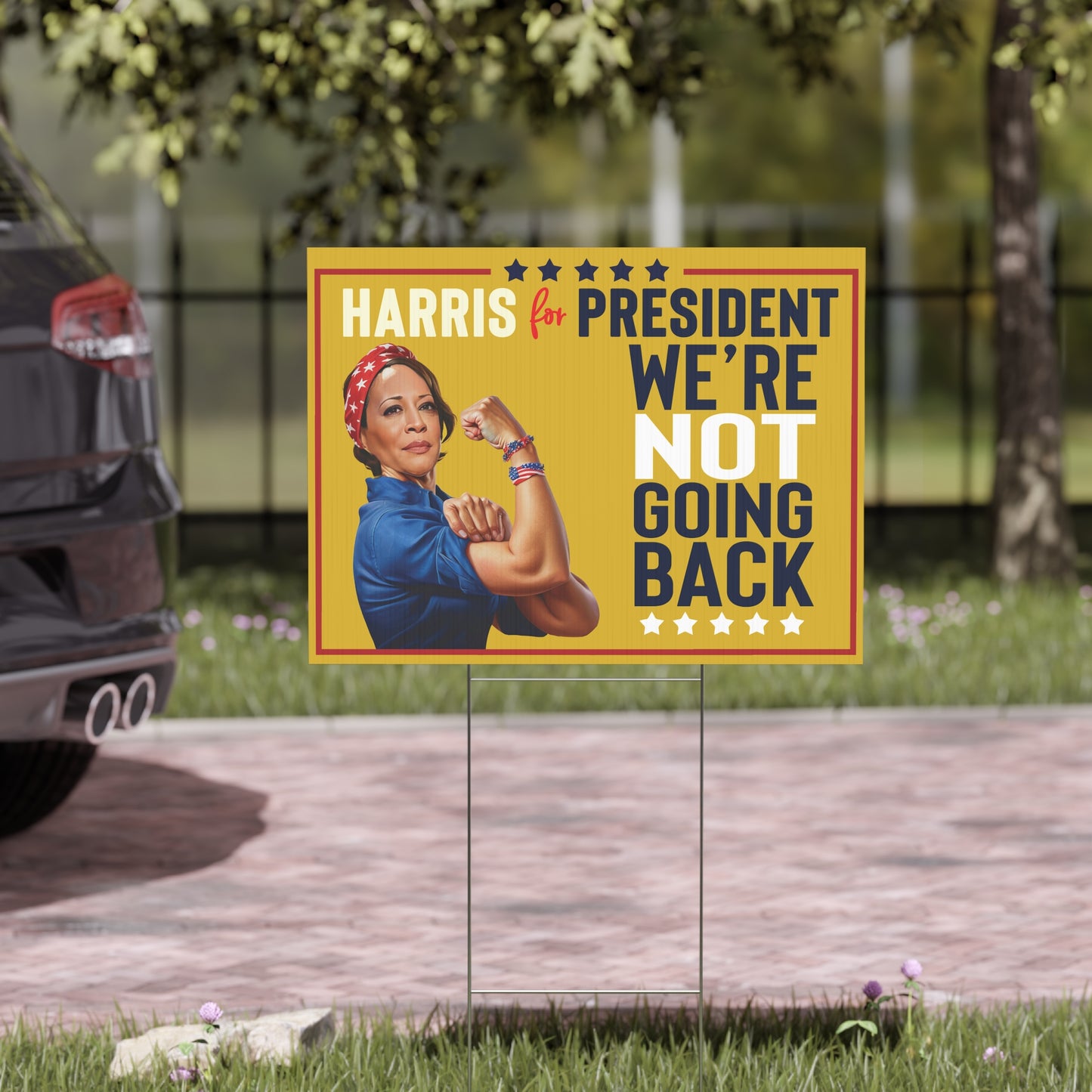 We're NOT Going Back, Harris Walz Election Sign, Double Sided Yard Sign w Stand, Kamala Yard Sign, 18" x 24", Harris Walz, Kamala Poster