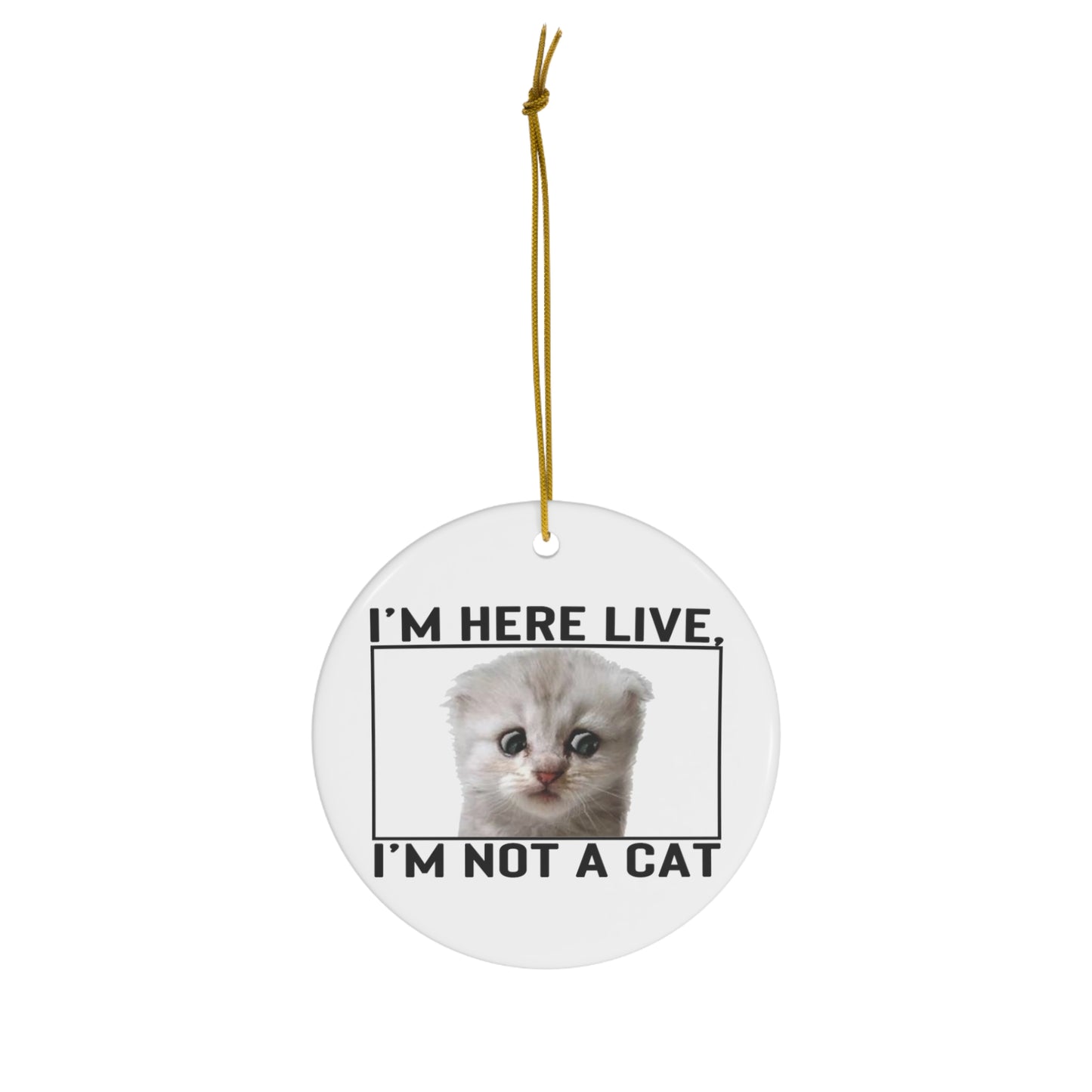 Zoom Lawyer Cat Ornament 2021 Zoom Cat Meme - Funny Lawyer Zoom Judge Call as Cat - I'm not a cat Ornament
